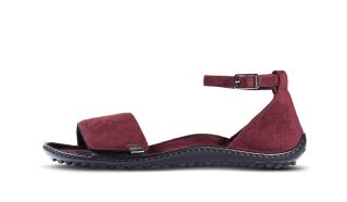 Leguano JARA bordeaux 39