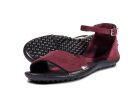Leguano JARA bordeaux 39