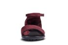 Leguano JARA bordeaux 39